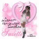 suzette