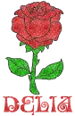 Delia Red Rose