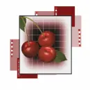 fruit