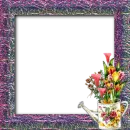 My  Frame