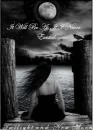 Twilight & New Moon