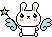 rabbit
