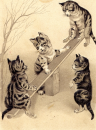 cats are playing