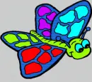 butterfly