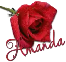Amanda.