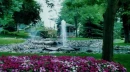 Plus Garden