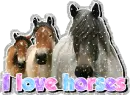 i love horse