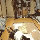 lol.!