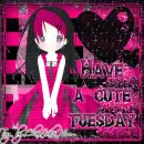 Cute Tuesday