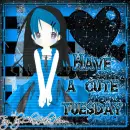 Cute Tuesday