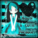 Cute Tuesday