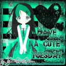 Cute Tuesday