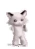 Dancing cat