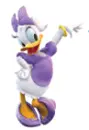 daisy