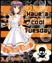 Cool Tuesday
