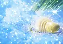 Seashell Sparkle