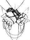 hands