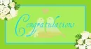 Congratulations