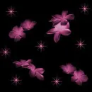 star