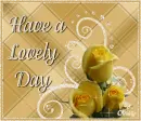 Have a lovely day.