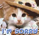 i am sorry