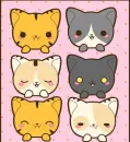 Kitty Cats