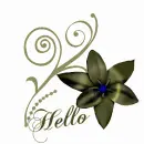 Hello