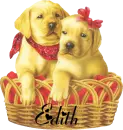 Edith