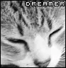 dreamer