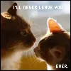 i will never leave you