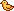 Mini duck