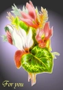 tropical flower for you