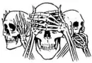 skull