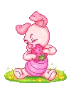 Baby Piglet
