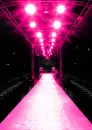pink runway