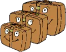 luggage