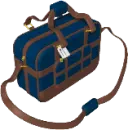 luggage