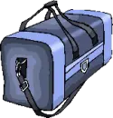 luggage