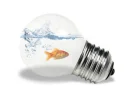 fish light