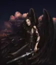 Angel Fighter