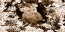 baby in flowers