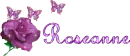 roseanne rose and butterflies