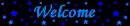 blue stars welcome 