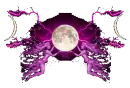 Moon Fairies