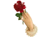 Red Rose