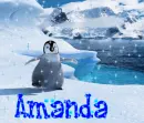Amanda with penguin