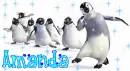 amanda penguins background
