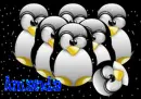 amanda penguins background