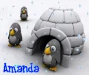 amanda penguins background