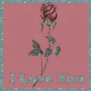 I love you rose